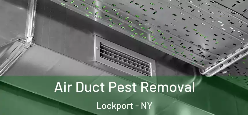 Air Duct Pest Removal Lockport - NY
