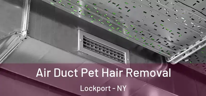 Air Duct Pet Hair Removal Lockport - NY