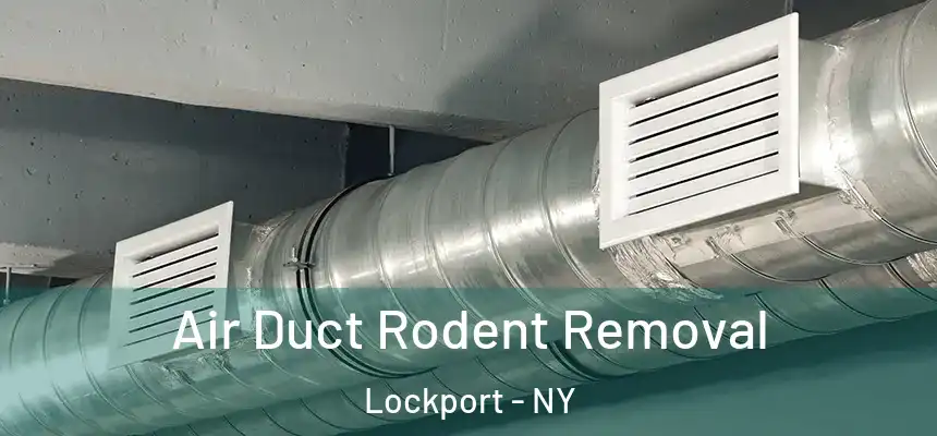  Air Duct Rodent Removal Lockport - NY