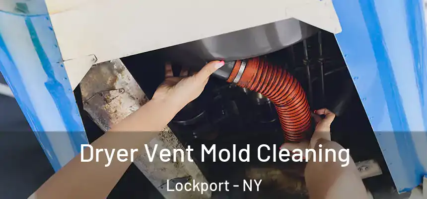 Dryer Vent Mold Cleaning Lockport - NY
