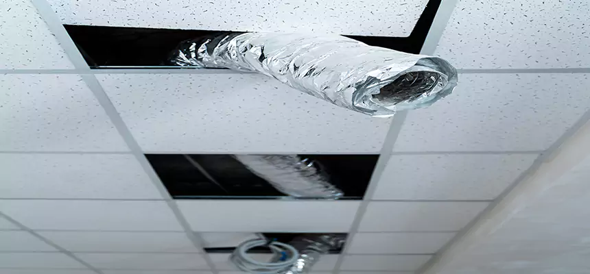 Affordable HVAC Sanitizing After Pest Removal in Lockport