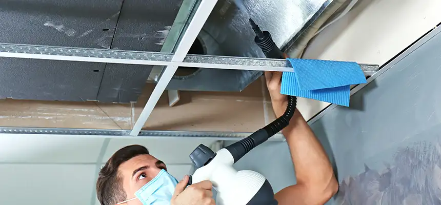 Our Air Duct Rodent Removal Services in Lockport, NY