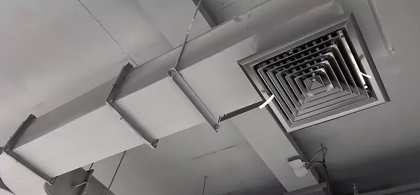 Restorative Allergy Relief Vent Cleaning – Coil, Blower & Housing Detail in Lockport