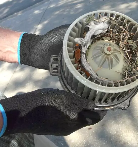 About Air Duct Mice Removal in Lockport, NY