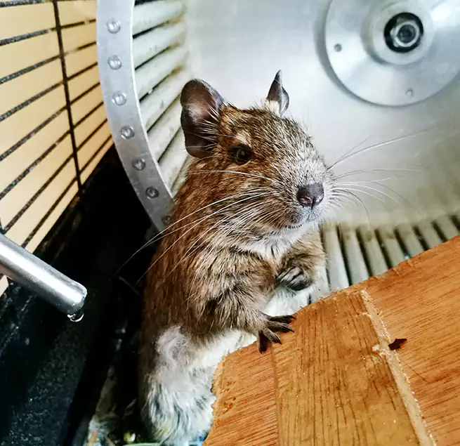 Why Homeowners & Businesses Trust Us Lockport, NY